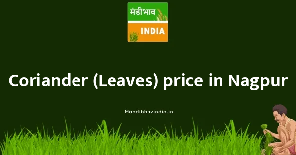 Coriander (Leaves) price